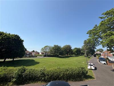 Picture 17